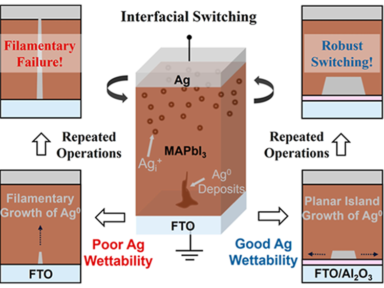 ACS Nano 2026 memristor