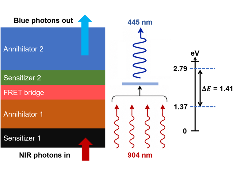 JACS TOC 4 photon